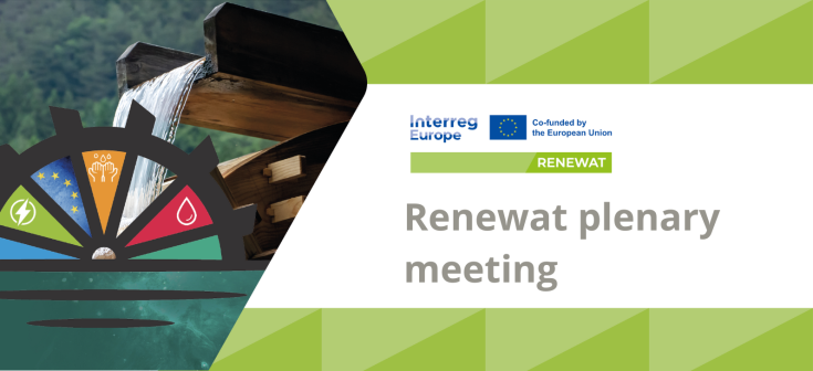 Renewat plenary meeting the image show the Renewat picture
