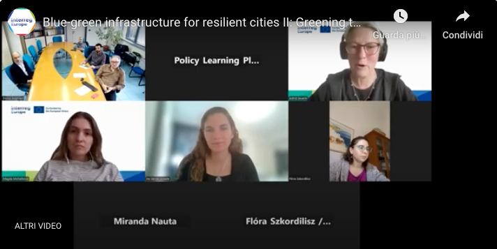 Screenshot from a webinar