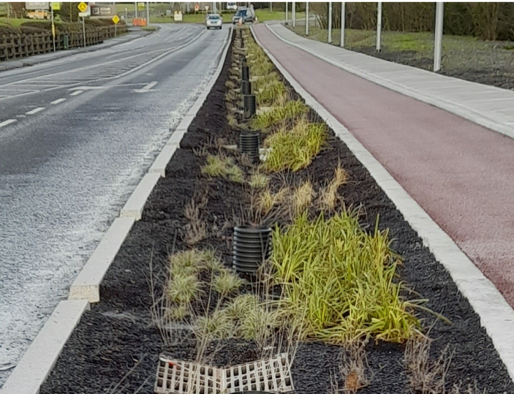 Nature-Based Drainage Strip in Tipperary A narrow green strip with planted vegetation between a road and a pedestrian path in Tipperary, designed to manage stormwater using nature-based solutions.
