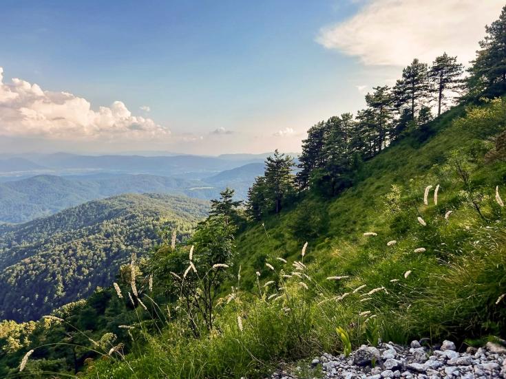 TAAS Study Visit LUR, Slovenia TAAS Study Visit LUR Slovenia