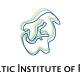 The Baltic Institute of Finland