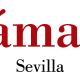 Chamber of Commerce of Seville logo