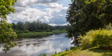 River flowing along greenery