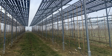 Agri-PV system 