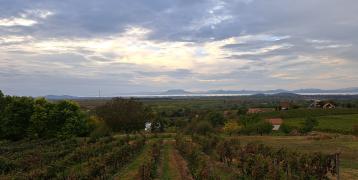 Hills of South Balaton wine region