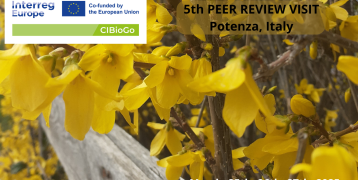 I see many yellow flowers, and a logo with a script