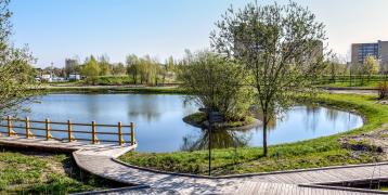 Park; pond; trees; paths