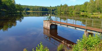 a small rural lake