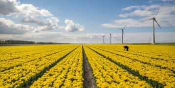 wind park