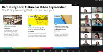 screenshot from Interreg Europe PLP online webinar