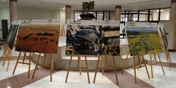 Large printed photos on stands in a circle in a bright oval in the university lobby.