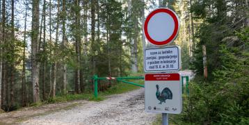 The photo shows an example of the creation of quiet zones with ramps and signs in the Triglav National Park.