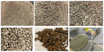 Almond's by-products