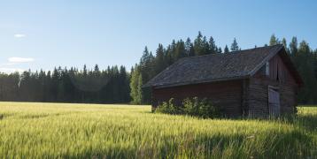 Barn in field