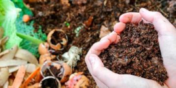 Soil from a home compost