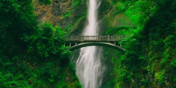 Bridge in front of a waterfall and green scenery