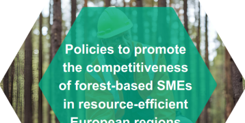 Cover image of the FBI4EU project brochure, highlighting the EU's commitment to enhancing the competitiveness of forest-based small and medium-sized enterprises through regional cooperation and sustainable policy.