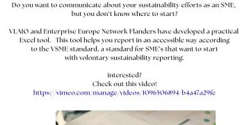 CSRD@SME - The New VLAIO Reporting Tool