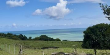 Lush green field with in the background the view of a clear water blue sea