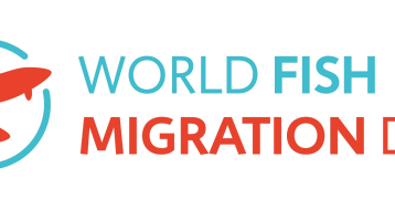 Logo Fish Migration Day 2024