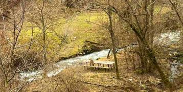 A landscape with a river around trees