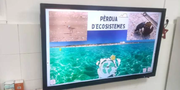 Example of one workshop about biodiversity