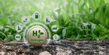 Green Hydrogen ecosystem from production to end users