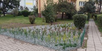 rain gardens in front of an apartment block