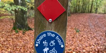 Share the trail sign in the forest 