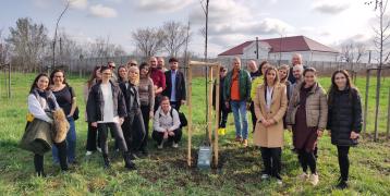 You can see people on a tree planting event