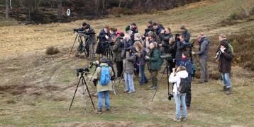 Collaborative Birds Monitoring on the field 