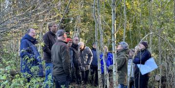 young forest, experts, discussion, fall