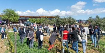 The presentation of the results of the project