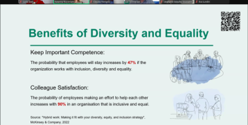 Screenshot from the Schyst presentation of Katarina Nordmark.