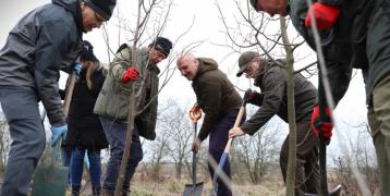 People in a circle planting trees in a foggy field area. Brown winter jackets on and hats in the head.
