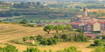 Typical landscape mosaic of Catalonia catalonian landscape