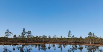 Lintuneva nature conservation area
