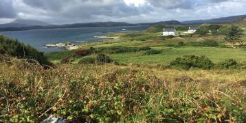 Lush and green irish coast