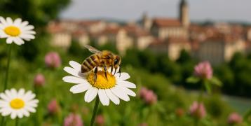 NATUREFIN project's image photo, shows nature in an urban setting.