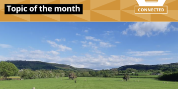 Interreg Europe November newsletter