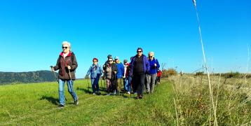 A group of senior people practicing nordic walking on a sunny day.