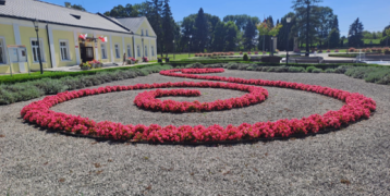 Practical use of organic soill improver i.e. flowers in public garden