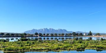 Agulla's park reservoir in the Green Belt