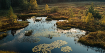 Peatland restoration in Latvia to fight climate change