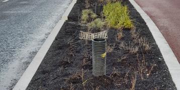 A swale for managing rainwater runoff from a road, cycle path and footpath