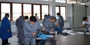 vocational and dual education in Alba County