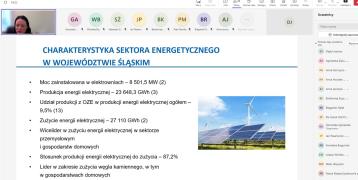 First meeting with silesian stakeholders (Poland) 