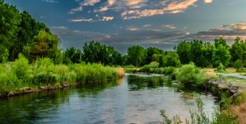 River in nature