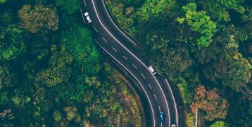 road going through forest