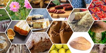 SMEs & European Original Geographical Indications